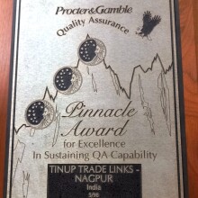 p&g Pinnacle award